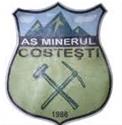 Minerul Costesti